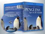 蓝光电影 25G 15392 【BBC企鹅群里有特务 / 企鹅卧底日记】2012