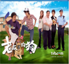 蓝光连续剧 25G【老友狗狗】2009 TVB 1碟