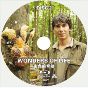 蓝光电影 BD50【BBC生命的奇迹】2碟 2013