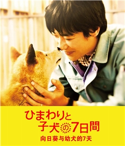 蓝光电影 25G 9066 《向日葵与幼犬的7天》 日本温情