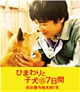 蓝光电影 25G 9066 《向日葵与幼犬的7天》 日本温情