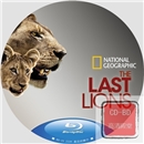 蓝光纪录片 25G 2339 最后的狮子