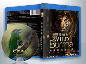 蓝光纪录片 25G 10990 《野性缅甸失落的自然王国》